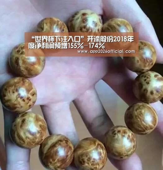 2026世界杯投注站官网