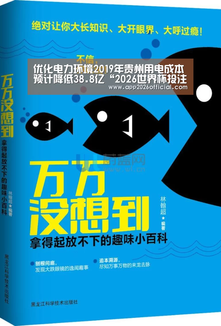 2026世界杯投注站官网