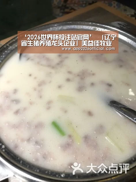世界杯下注入口