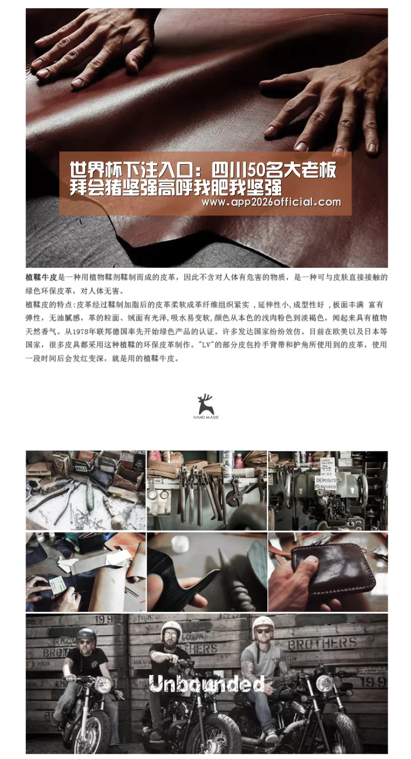 2026世界杯投注站官网