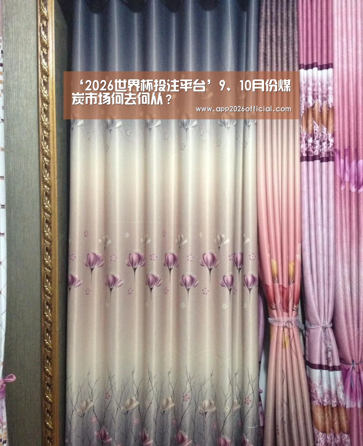 ‘2026世界杯投注平台’9、10月份煤炭市场何去何从?(图1) 2026世界杯投注站官网