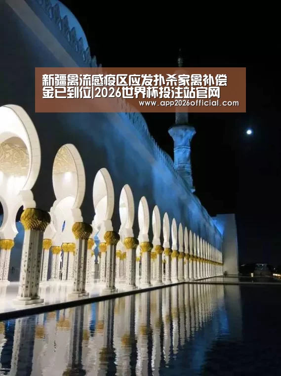 2026世界杯投注站