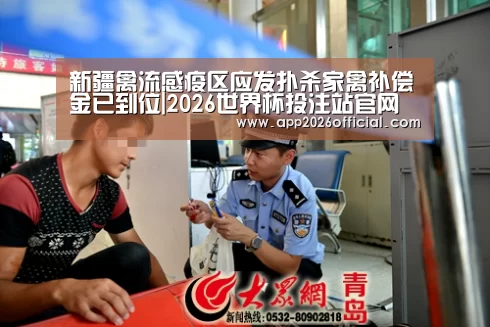 2026世界杯投注平台