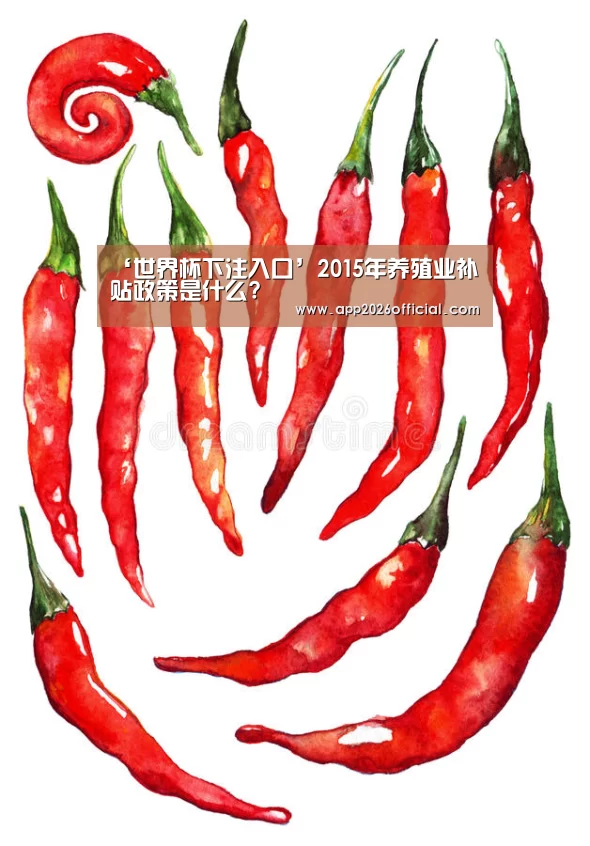 2026世界杯投注站