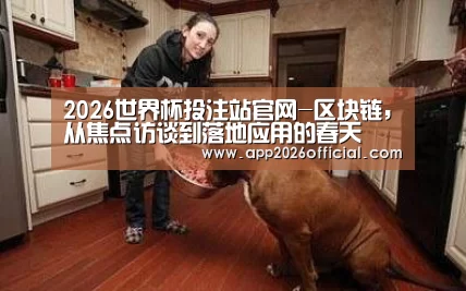 2026世界杯投注平台