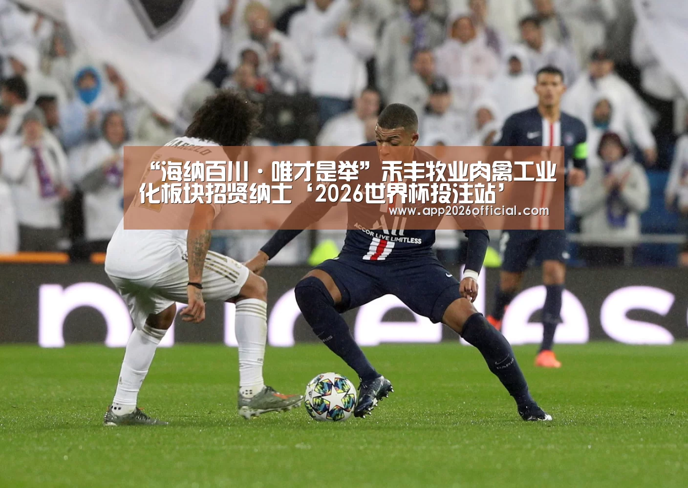 世界杯下注入口