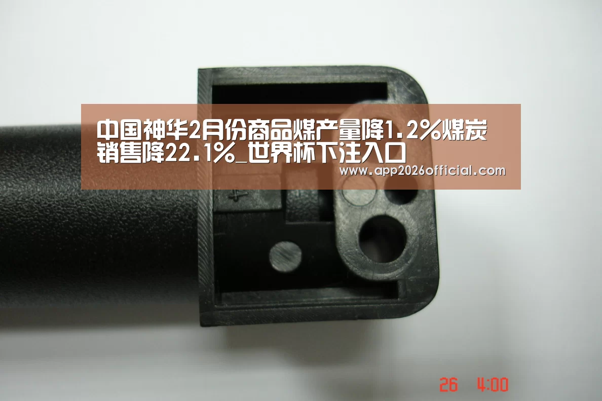2026世界杯投注站