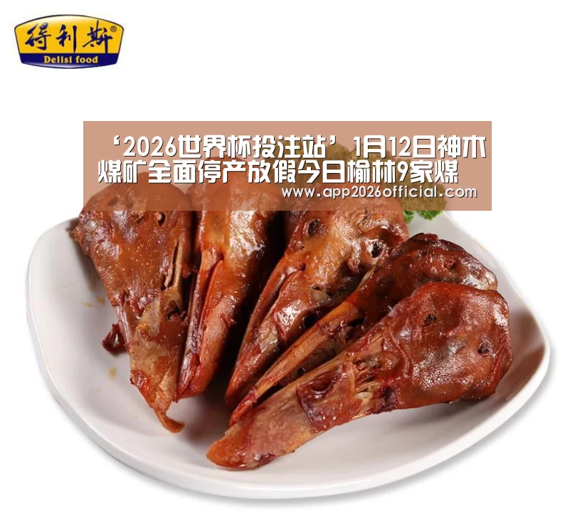 2026世界杯投注站